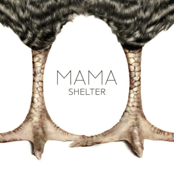 Mama-Shelter_1