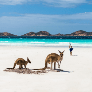 Tourism Australia marketing boost