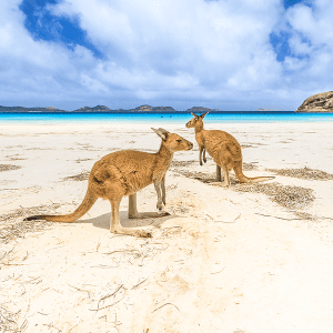 Challenges for Australian tourism
